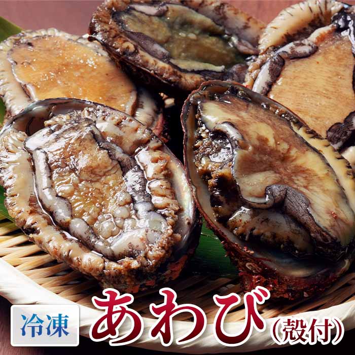 冷凍】冷凍あわび 殻付き 500g | 川秀商店オンライン